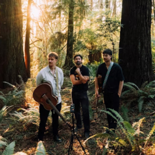 Amble Concerts in Sacramento