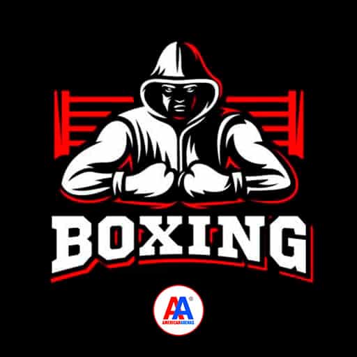 Pro Boxing Schedule 2026–2027